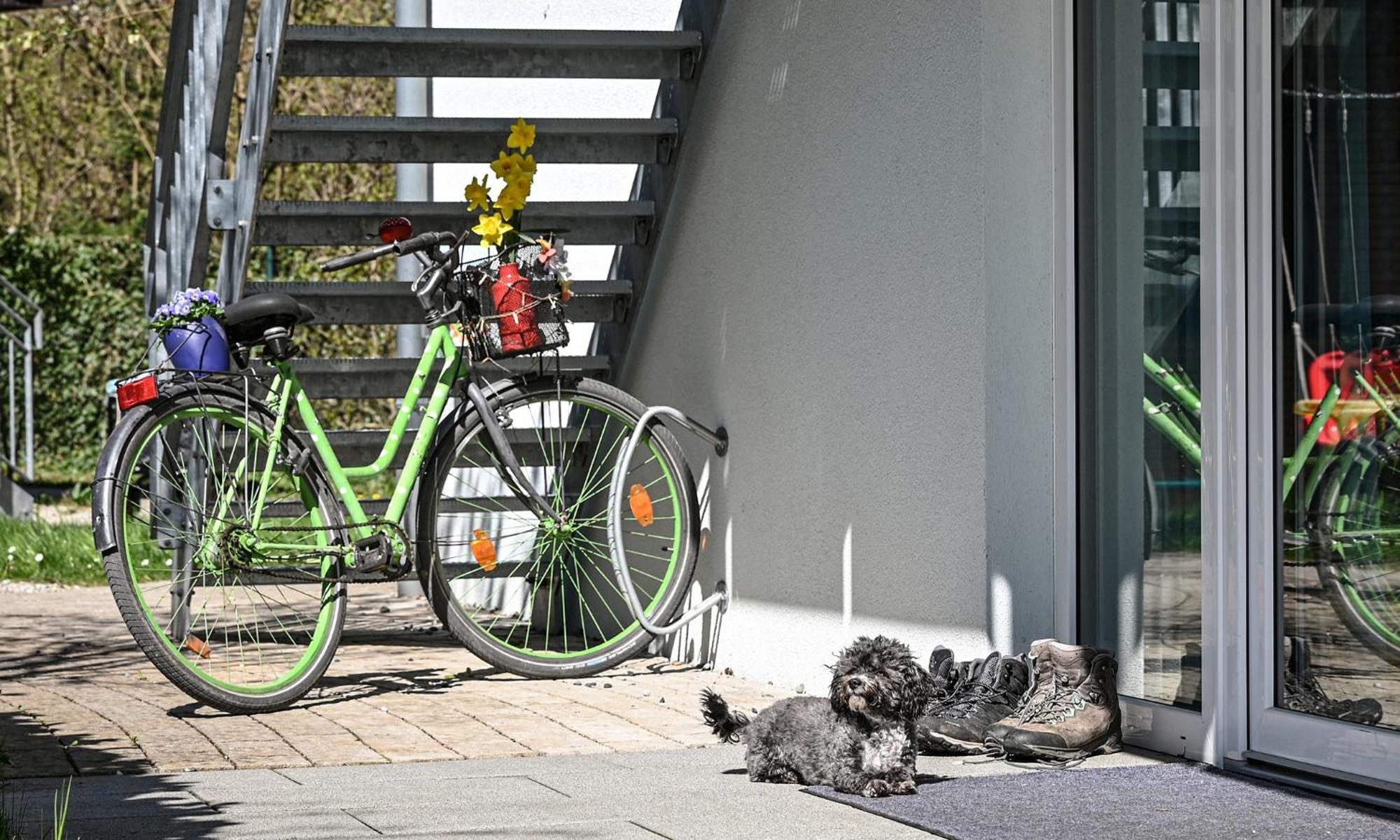 Apartment Entdeckerferien Am Bodensee